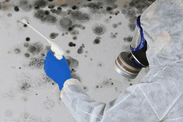 Safe and effective residential pest treatment in action