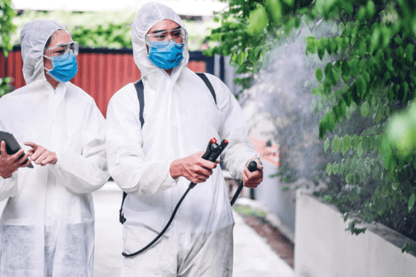 Application of eco-friendly pesticides