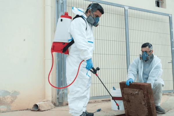 Manicured lawn of a residential property